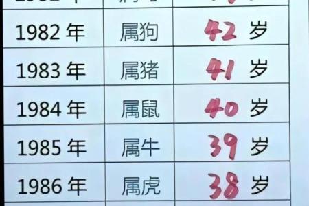 2000年属龙的人今年几岁了？生肖年龄查询指南