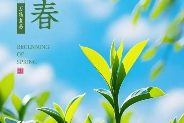 2022年立春是农历哪一天，具体时辰和宜忌有哪些？