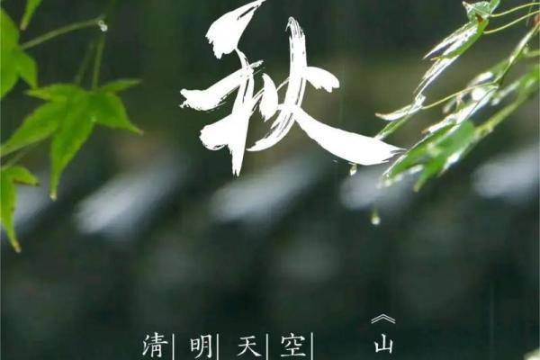 2023年立秋具体时间是几点几分，需要精确到秒吗？