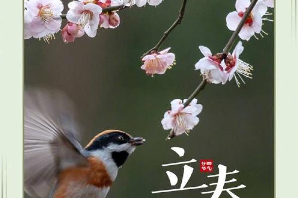 2021年立春具体时间是几点几分几秒开始？