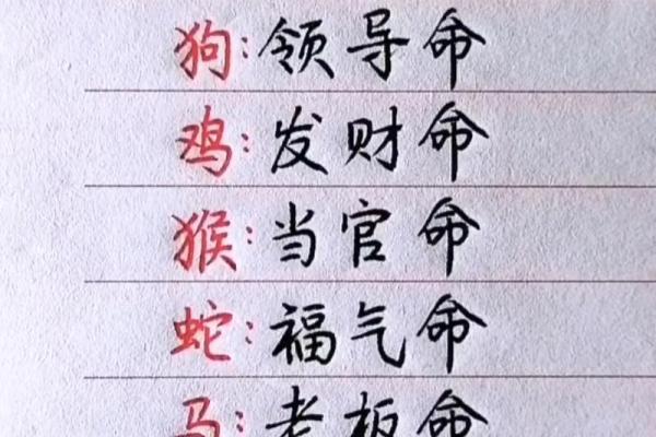 2012龙年十二生肖运势详解及每月运程预测