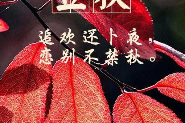 2023年立秋具体时间是几点几分？需要精确到秒的官方时间