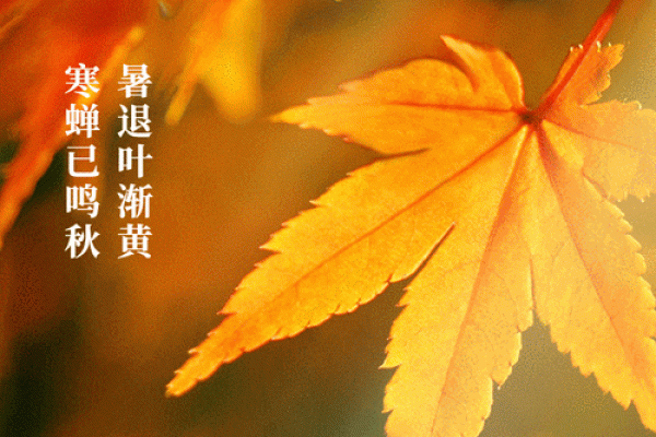 2023年立秋具体时间是几点几分？需要精确到秒的官方时间