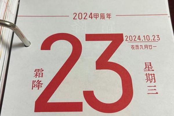 我需要一份2008年的历史日历，用于查询当年的日期和星期对应关系