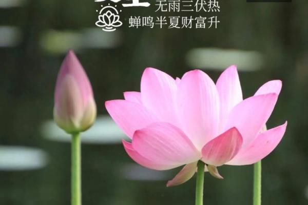 2021年立夏具体时间是几点几分开始和结束？