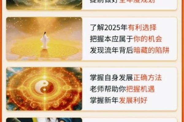 麦玲玲讲解2012龙年十二生肖健康运程与化解方法