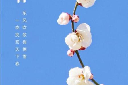 2022年立春是农历哪一天，具体时辰和宜忌有哪些？