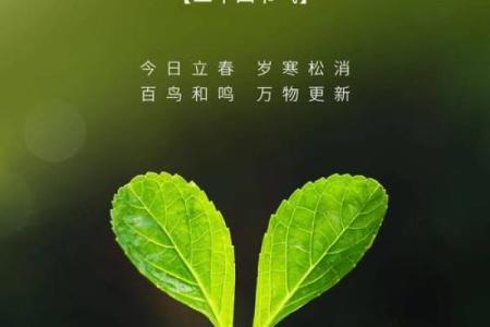 2024年立春具体是几点几分开始打春时辰查询