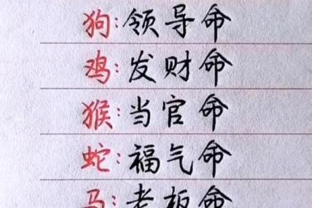 2012龙年十二生肖运势详解及每月运程预测