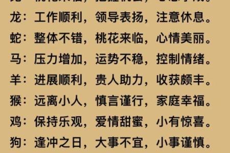 2023年属什么生肖？农历新年生肖切换时间节点说明