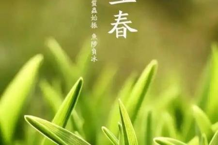 2019年立春是几点几分？想了解准确的节气交接时刻