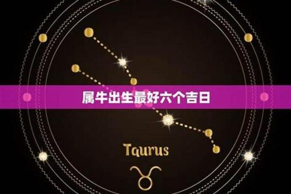 1997年属牛的人2026年结婚，如何挑选黄道吉日最吉利？