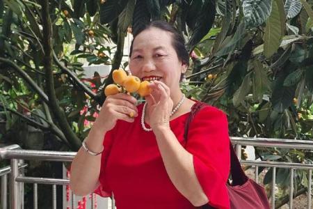 2025年11月25日适合结婚吗(2025年11月25日农历是多少)