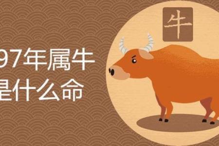 1997年属牛2026年结婚大利月是哪几个月适合办婚礼