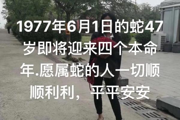 属蛇人2026年本命年结婚吉日查询，如何挑选避开冲煞的大好日子