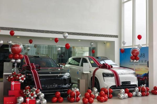 2025年11月提车好日子(2025年11月适合提车的好日子)