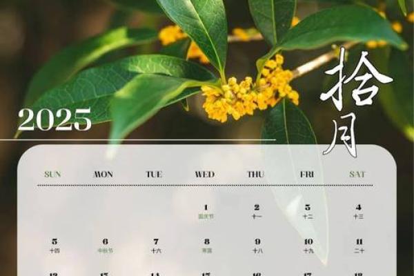 2025年12月份动土吉日专用日历(2025年12月份动土吉日专用日历是什么)