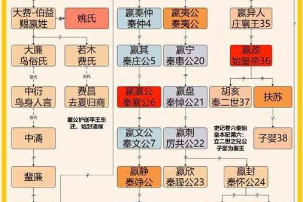 详细解析芈月是秦始皇嬴政的哪位长辈及其家族背景联系
