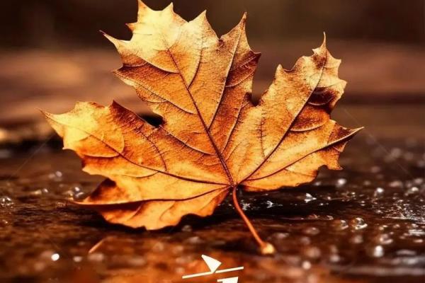 请问今年立秋的准确时间是在哪一天的几点几分几秒？