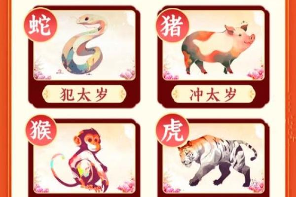 麦玲玲2013蛇年十二生肖健康运程与得把眼睛擦亮了大全