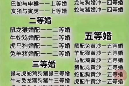 1995年属猪男与1997年属牛女结婚八字合婚得把眼睛擦亮了及下半年吉日时辰推荐