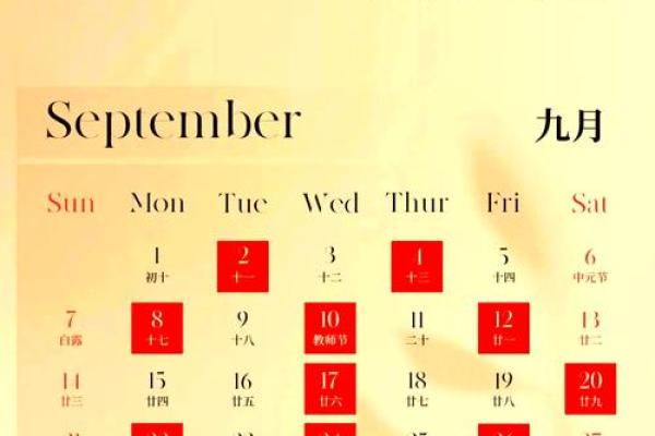 2025年12月7日适合结婚吗(2025年12月25日适合结婚吗)