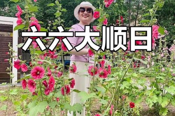 请问2026年农历正月哪天提车最吉利？求2月份最佳好日子推荐