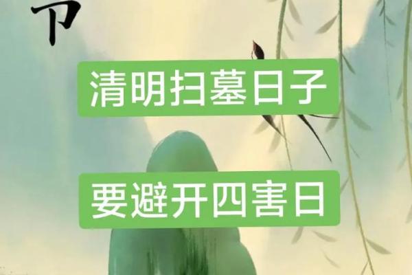 2024年清明扫墓选择什么时间去人少又比较合适？