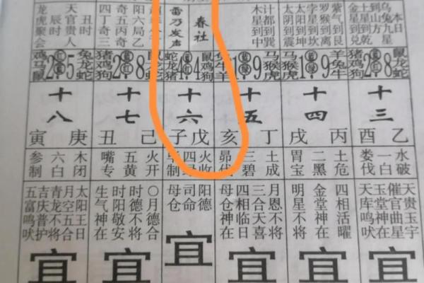 2024年春社节黄历吉时查询，当天宜忌事项与得把眼睛擦亮了详解
