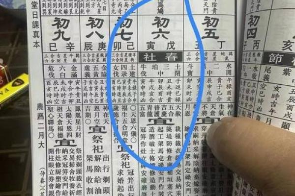 2024年春社节黄历吉时查询，当天宜忌事项与得把眼睛擦亮了详解