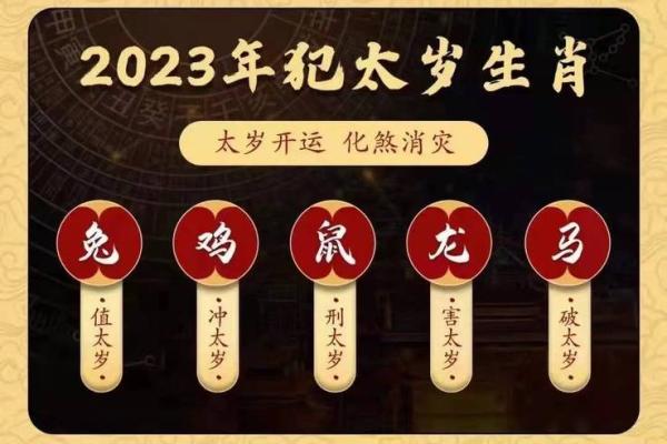 2023年属兔本命年如何化解太岁及需要注意的禁忌事项大全