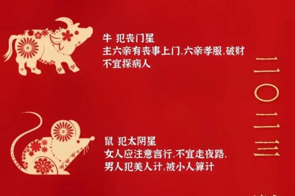 2023年黑兔年真的会有大灾难吗？民间传说背后的科学解释是什么