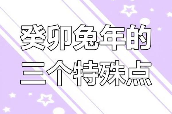 2023年黑兔年真的会有大灾难吗？民间传说背后的科学解释是什么