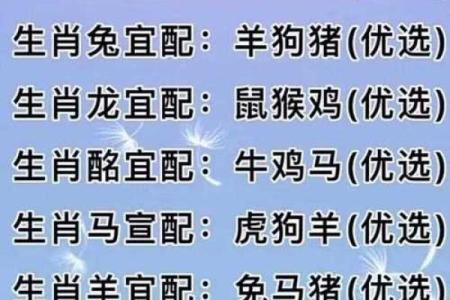 1997年属牛的人在2026年结婚的黄道吉日查询与生肖配对解析
