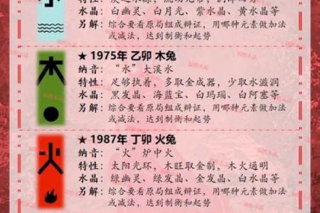 2024年属兔人需要特别注意哪些重大禁忌和忌讳事项？