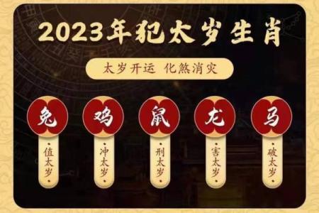 2023年属兔本命年如何化解太岁及需要注意的禁忌事项大全