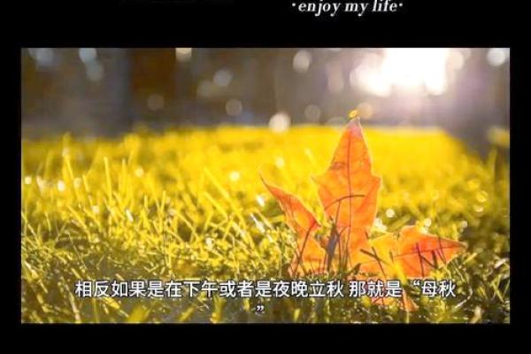 2022年立秋具体时间是几点几分，需要精确到秒吗？