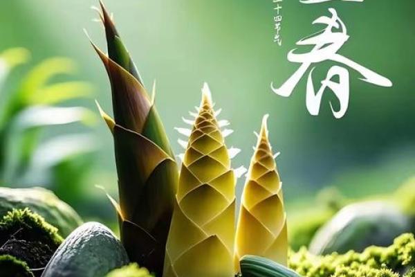 请问今年2023年的立春准确时间点是多少？