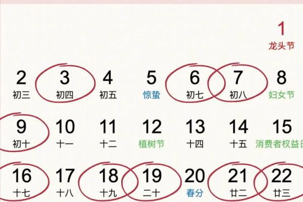 20259破土最旺的日子(破土吉日查询2025)