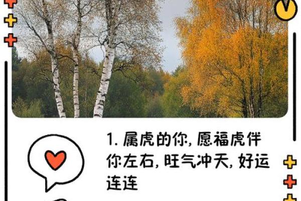 求虎年创意押韵祝福语顺口溜，要新颖独特一些的发给领导同事