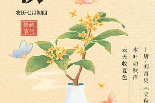 2024年立秋是几月几号几点？具体时间及节气习俗介绍