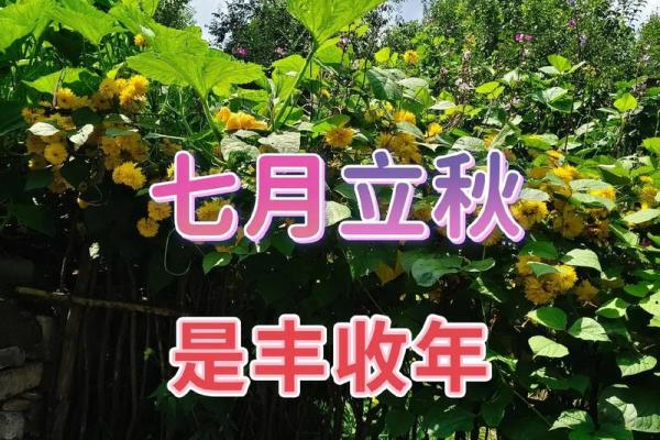 2024年立秋具体时间是几点几分？需要精确时间安排农事活动