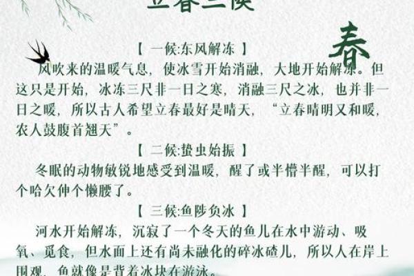 2022年立春的准确时间是什么时候，需要注意哪些习俗？