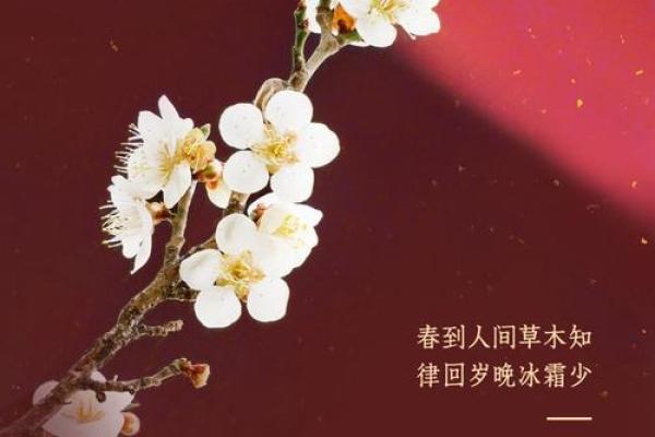 2022年立春的准确时间是什么时候，需要精确到分钟？