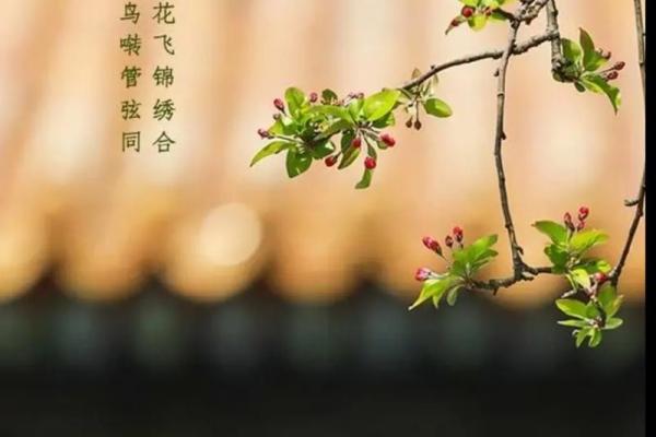 2024年立春具体是几点几分？需要精确到秒的时间查询