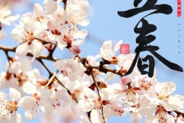 2023年立春的准确时辰是什么？想了解精准时刻