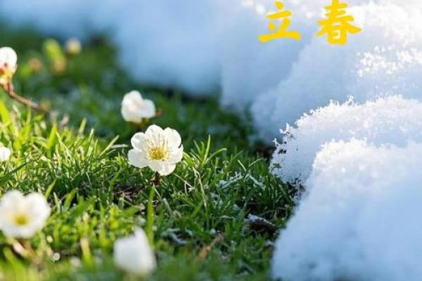 2023年打春具体时间几点几分？立春有哪些传统习俗？