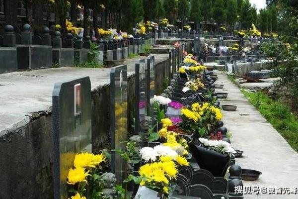 2023年清明节扫墓有何新规定和防疫要求？