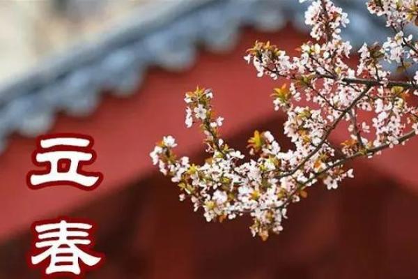 2023年躲春具体时间安排是上午还是晚上进行？