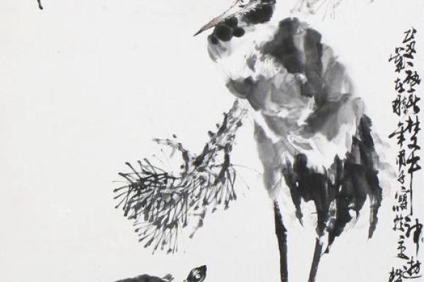 龟鹤之年是什么意思？这个成语通常用来比喻什么年龄阶段的人